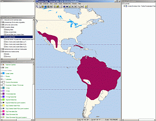 Western Bonneted Bat range